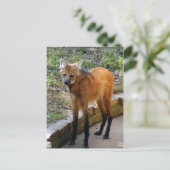 4x6ポストカードテンプレート ポストカード (スタンド正面)