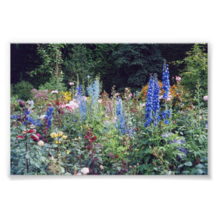 4x6写真花 フォトプリント