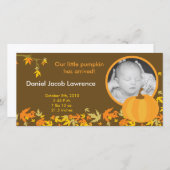 4x8秋カボチャ離れの写真生誕発表 案内状 (正面/裏面)