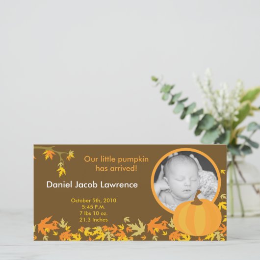 4x8秋カボチャ離れの写真生誕発表 案内状 (スタンド正面)