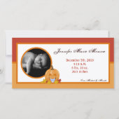 4x8秋秋かぼちゃ写真誕生発表 案内状 (正面)