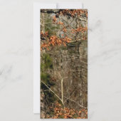 4x9 受付カード 鹿のカップル 牝鹿 オス鹿 カモ 招待状 (裏面)