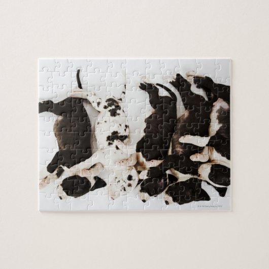 5つのハーレクイングレートダネパパイ眠っている ジグソーパズル (横)