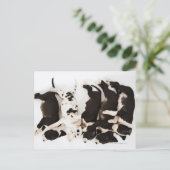 5つのハーレクイングレートダネパパイ眠っている ポストカード (スタンド正面)