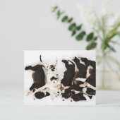 5つのハーレクイン大きなダネの子犬の中で眠っている ポストカード (スタンド正面)