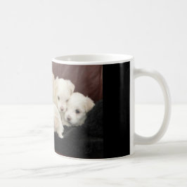 5つのマルチーズの子犬の様々なマグカップ コーヒーマグカップ