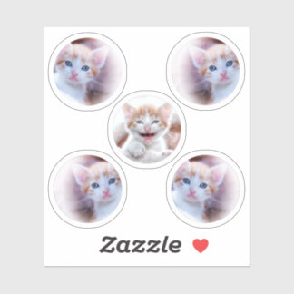 5つの円の図形の写真のセット シール