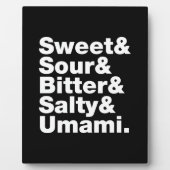 5つの基本味 フォトプラーク (正面)