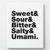 5つの基本味 フォトプラーク (正面)