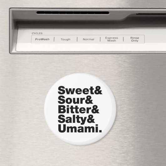 5つの基本味 マグネット (インサイチュ (食洗機))
