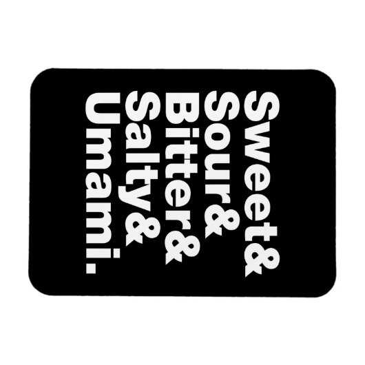 5つの基本味 マグネット (横)