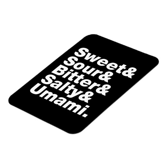 5つの基本味 マグネット (左側)