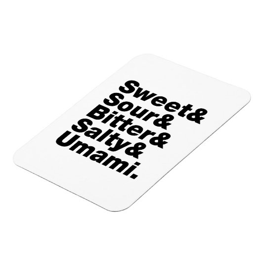 5つの基本味 マグネット (左側)