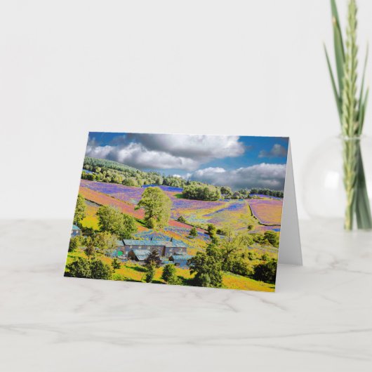 5つの灰 カード (正面)