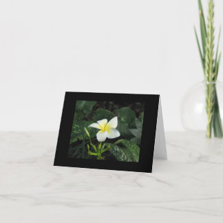 "5つの花びら"のメッセージカード カード