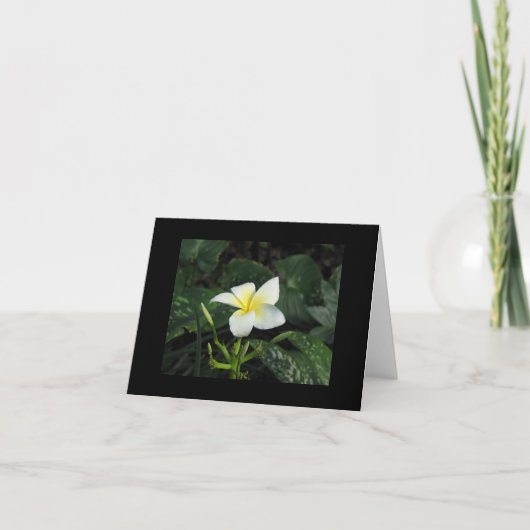 "5つの花びら"のメッセージカード カード (正面)