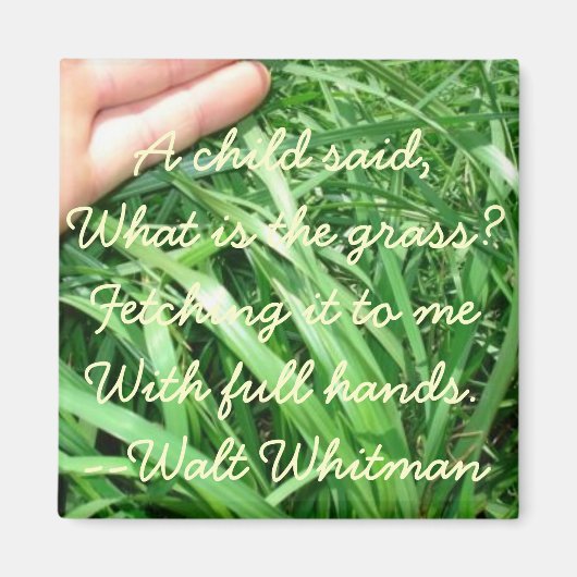 5の新しい親マグネットセット5 （改良） マグネット (正面)