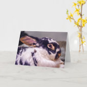 5ドル紙幣を特色にするBunnyLuvの挨拶状 カード (黄色い花)