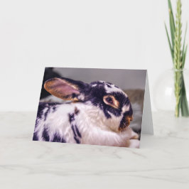 5ドル紙幣を特色にするBunnyLuvの挨拶状 カード