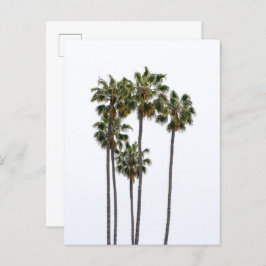 5パームズはがき ポストカード