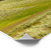 5ピースブルーグラスバンド ポスター (角)