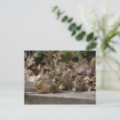 5ベビー ポストカード (スタンド正面)