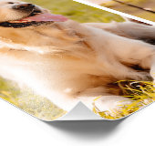 5ユニークフォトコラージュシンプル白 フォトプリント            (角)