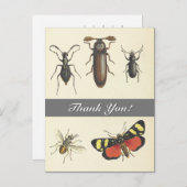 5ヴィンテージが昆虫を見て"ありがとう!" ポストカード (正面/裏面)