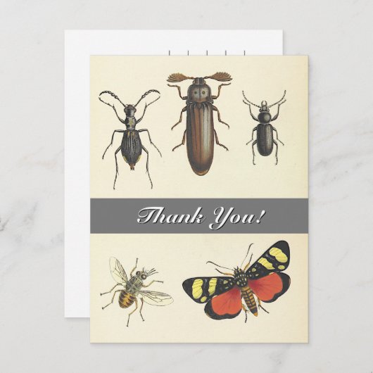 5ヴィンテージが昆虫を見て"ありがとう！" ポストカード (正面/裏面)