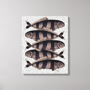 5匹のストライプのな魚 キャンバスプリント