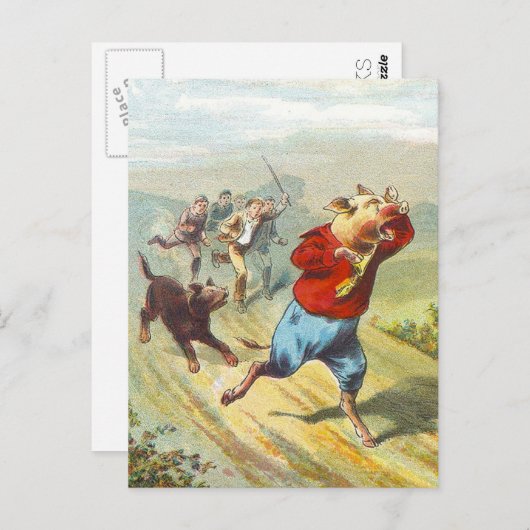 5匹の小さいブタ: それはちっぽけなほんの少し叫びました ポストカード (正面/裏面)