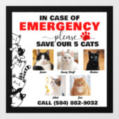 5匹の猫救が写真を撮カスタムった場合 ウィンドウサイン (シート)