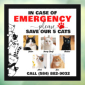 5匹の猫救が写真を撮カスタムった場合 ウィンドウサイン (シート3)