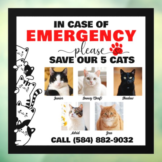 5匹の猫救が写真を撮カスタムった場合 ウィンドウサイン (シート3)