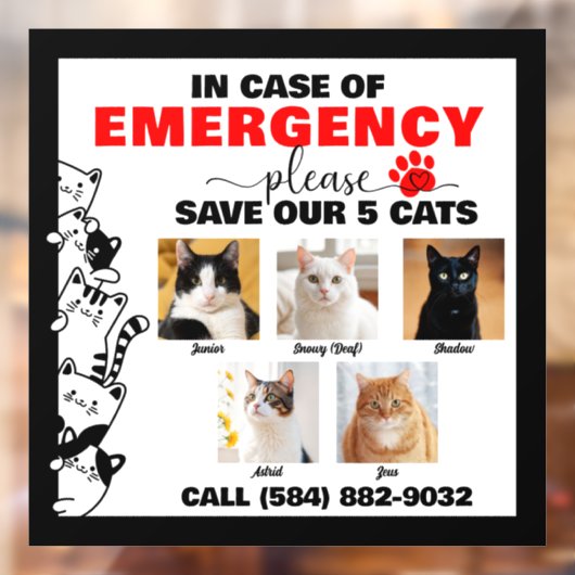 5匹の猫救が写真を撮カスタムった場合 ウィンドウサイン (シート2)