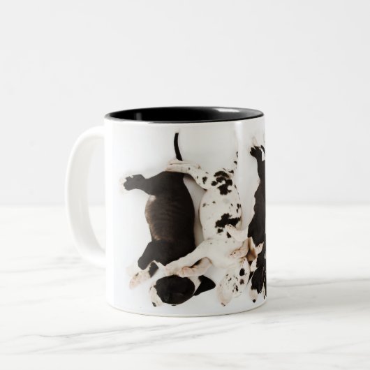 5匹の道化師のグレートデーンの子犬の睡眠 ツートーンマグカップ (正面左)