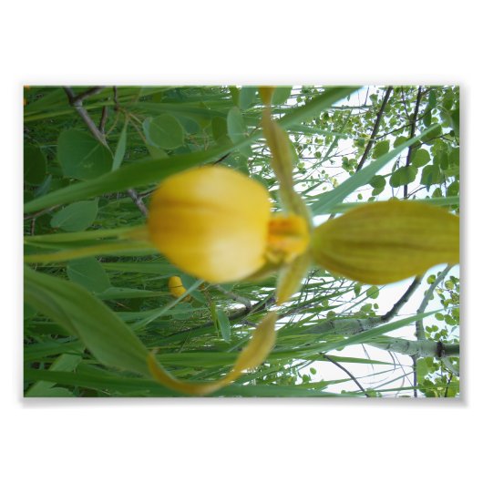 5時間365日のフォトプリント フォトプリント            (正面)