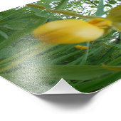 5時間365日のフォトプリント フォトプリント            (角)