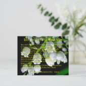 5月についての興味深い事実 案内ポストカード (スタンド正面)