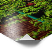 「5月の夢が舞い上がる フォトプリント            (角)