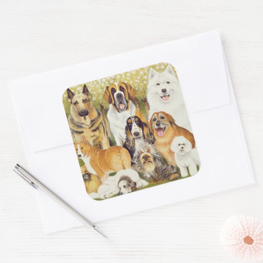 5月の犬 スクエアシール (封筒)