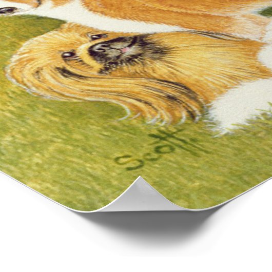 5月の犬 ポスター (角)