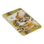 5月の犬 マグネット (右側)