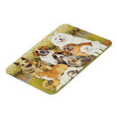 5月の犬 マグネット (左側)