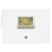 5月の結婚式は上がりました (裏面横)