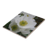 5月の花、アネモネのnarcissiflora タイル (側面)