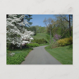 5月の花 ポストカード