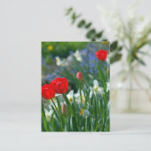 5月の花 ポストカード (スタンド正面)