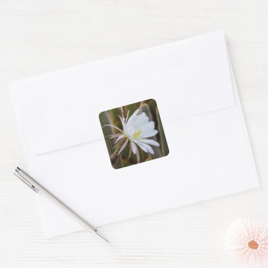 5月は庭で スクエアシール (封筒)