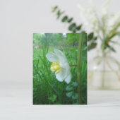 5月アップルの花はがき ポストカード (スタンド正面)